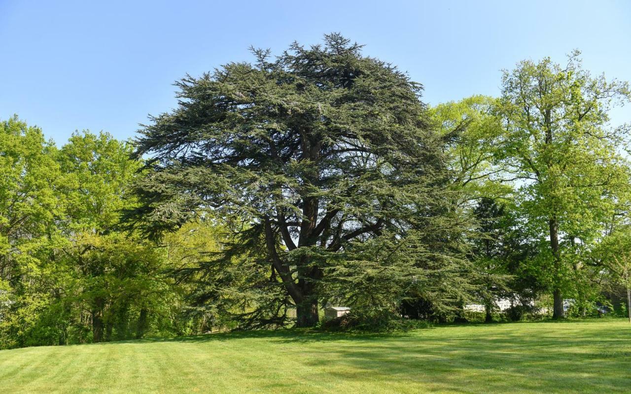 Chateau De La Grand'Cour Grandchamp-des-Fontaines Kültér fotó